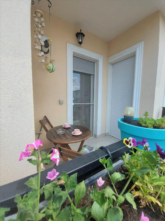 Paula Apartment Dumbravita  Exterior foto